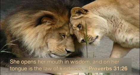 Proverbs31_26lions_in_love005