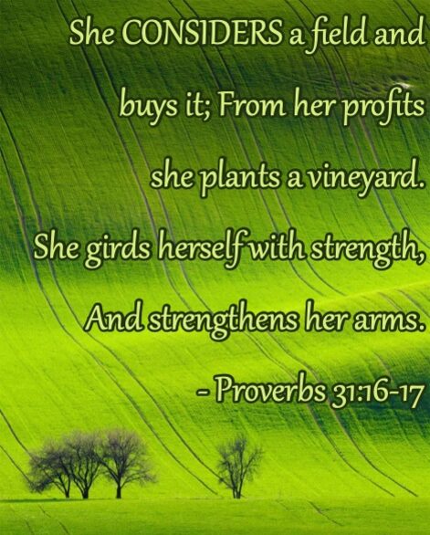 Proverbs31_16to17